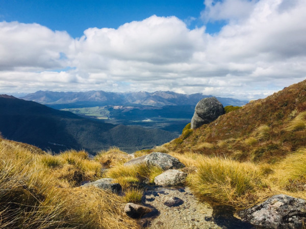 Alpine fieldwork resize