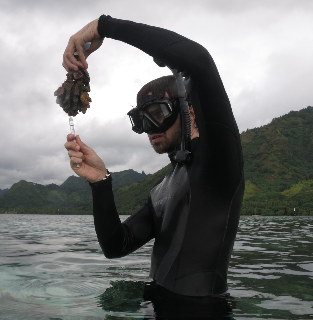 Supercorals fight for survival A climatic battle