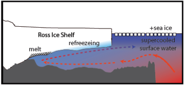 schematic of ocean circulation under an ice sheet