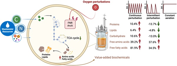 Figure 2 EIS