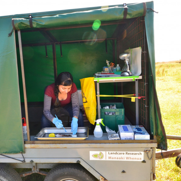 Manpreet Dhami in the field crop resize