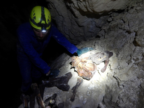 A cave explorer and Moa fossils