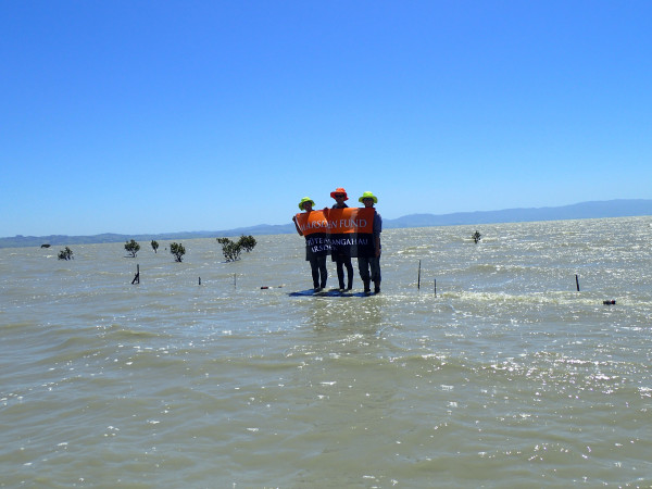 Three researchers standing in shallow water holding up a flag