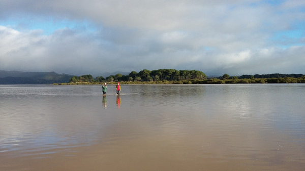 Two researchers wading through a shallow bay