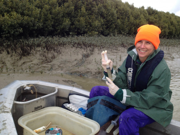 A scientist collecting samples in a tidal bay with mangroves