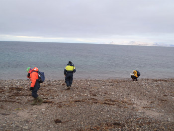 Collecting bacteria from a beach in Svalbard, Norway. Photo: Adele Williamson