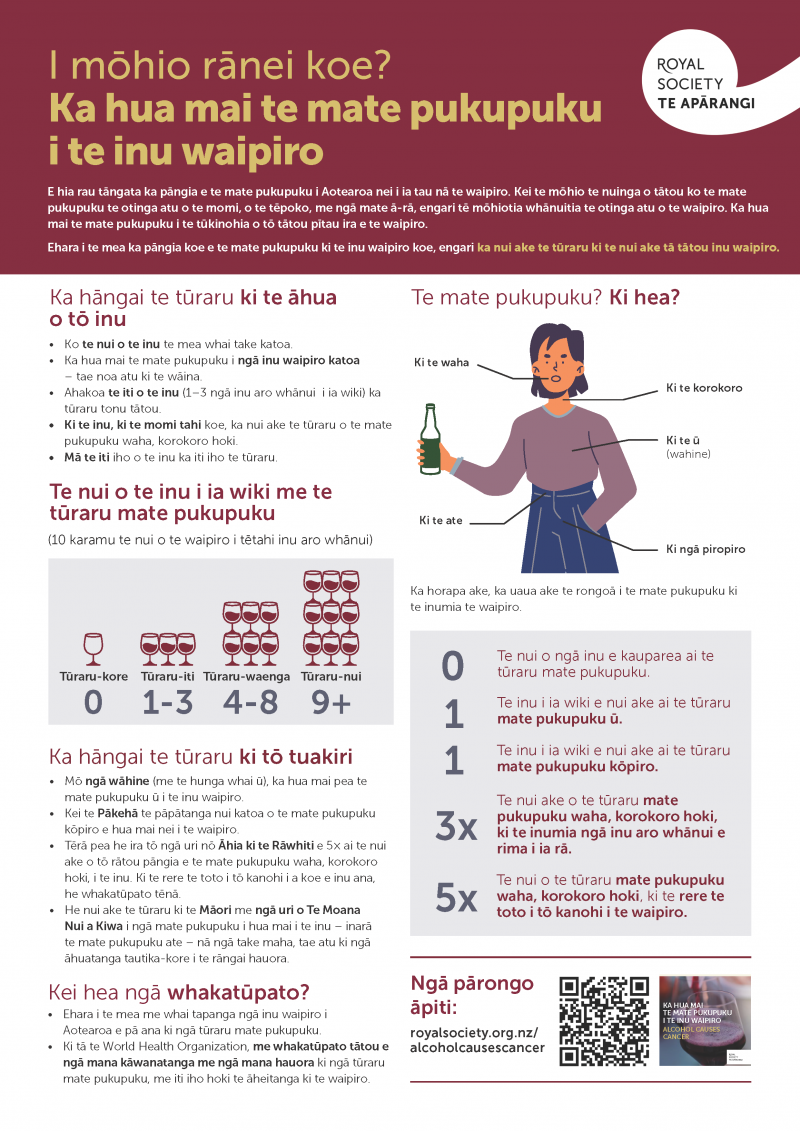 Summary Sheet Alcohol Causes Cancer 2004 TEREOMAORI