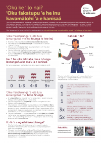 Summary Sheet Alcohol Causes Cancer 2004 TONGAN