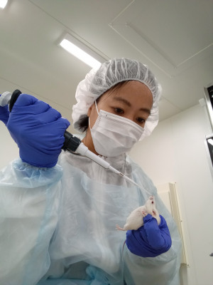 Dr Catherine Tsai holds a long syringe to the nose of a mouse