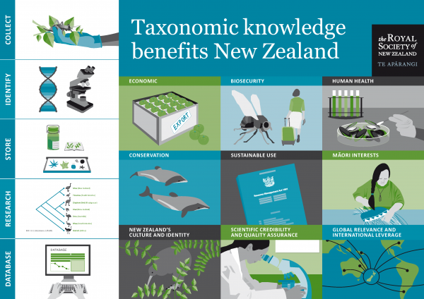 Infographic taxonomic knowledge benefits New Zealand web image